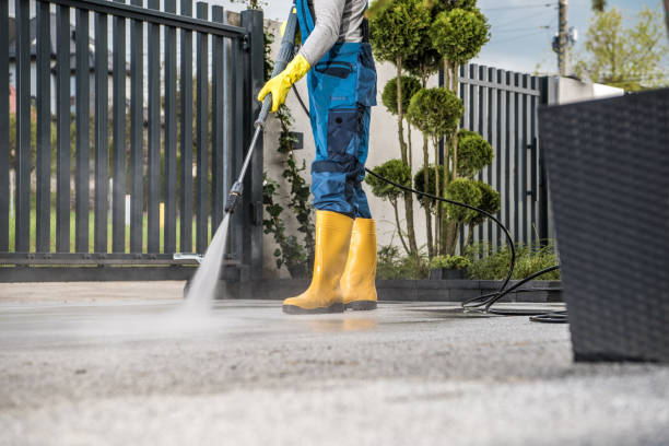 Deck Cleaning Services in Coyne Center, IL