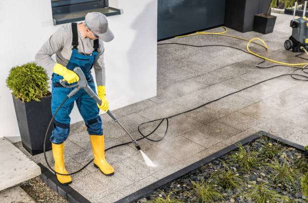 Roof Power Washing Services in Coyne Center, IL