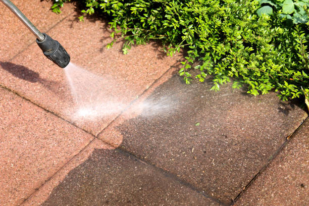 Best Best Pressure Washing Companies  in Coyne Center, IL
